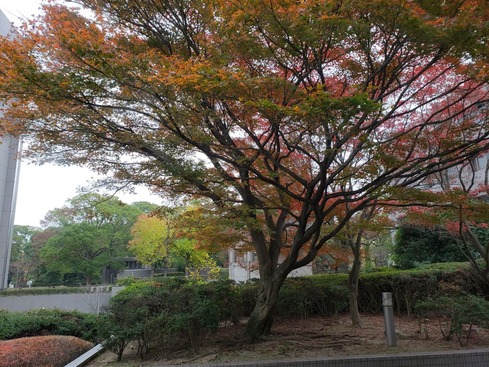 20181128_140808