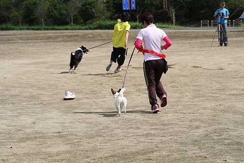 静岡県訓練王座競技大会 静岡県訓練王座競技大会