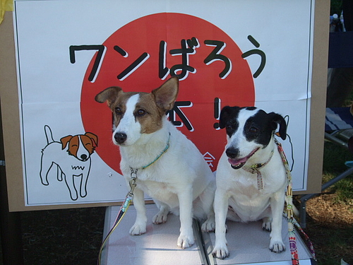 DSCF3992 DSCF3992