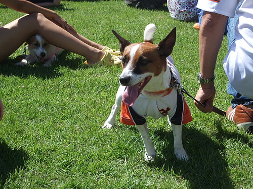 DSCF3962 DSCF3962