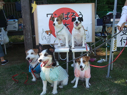 DSCF3994 DSCF3994