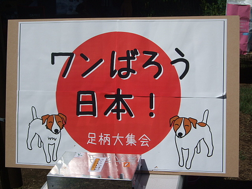 DSCF3967 DSCF3967