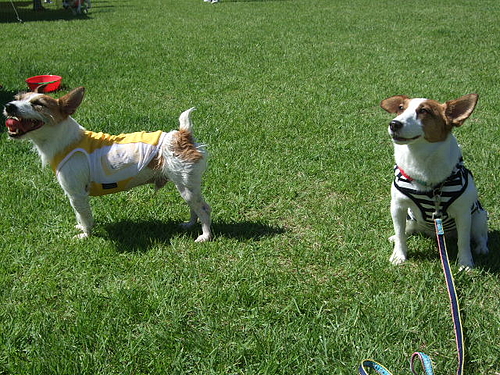 DSCF3951 DSCF3951