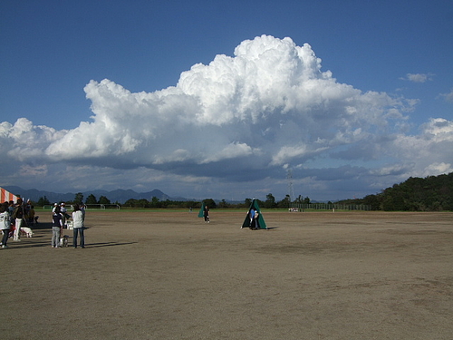 静岡県訓練王座競技大会 静岡県訓練王座競技大会
