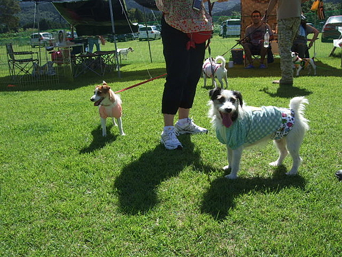 DSCF3944 DSCF3944