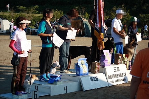 静岡県訓練王座競技大会 静岡県訓練王座競技大会
