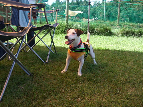 DSCF3948 DSCF3948