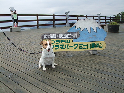 長岡伊豆 046 長岡伊豆 046