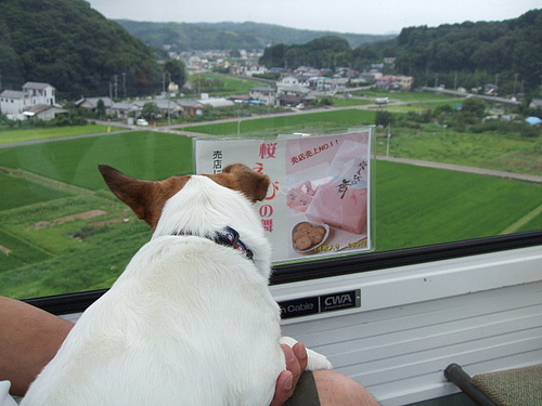 長岡伊豆 011 長岡伊豆 011