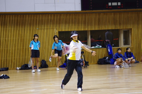 IMGP2498