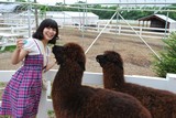 アルパカ9