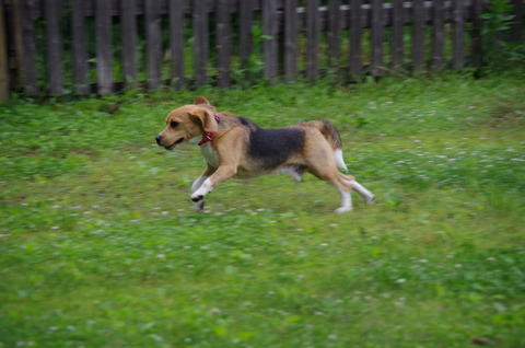 IMGP1684