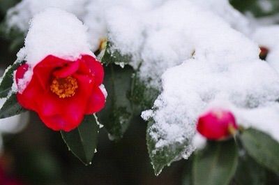 2014-12-02-05-52-51