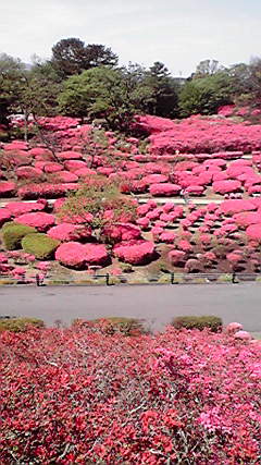 2010-4-30¡¡¾®¼¼»³¤Ä¤Ä¤¸º×¤ê£²