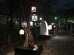 IMG_1287