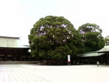 神宮3