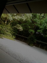 神宮6