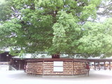 神宮4