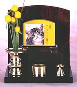 KYA01