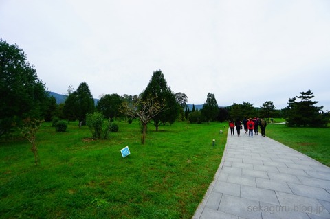 batch_DSC05327