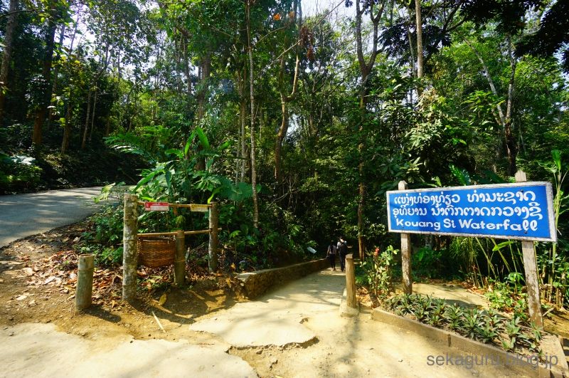 batch_DSC07910