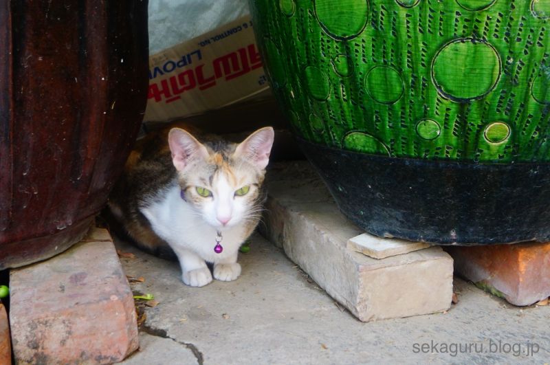 batch_DSC03452