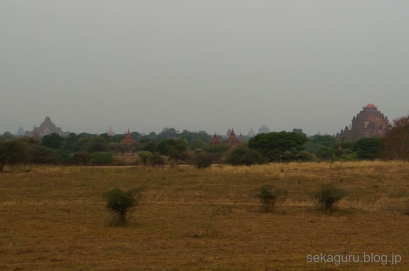 batch_DSC04145