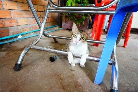 batch_DSC00415