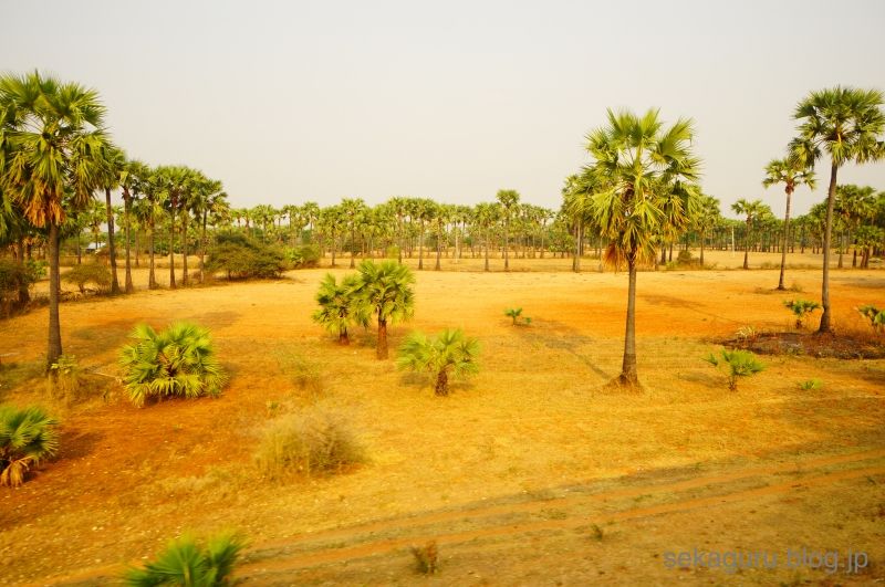 batch_DSC04765