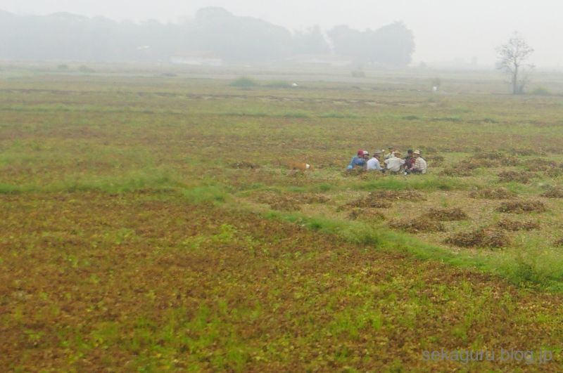 batch_DSC04950