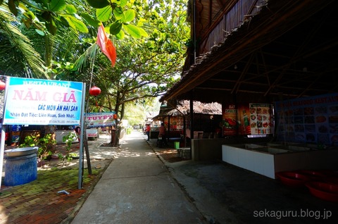 batch_DSC08638