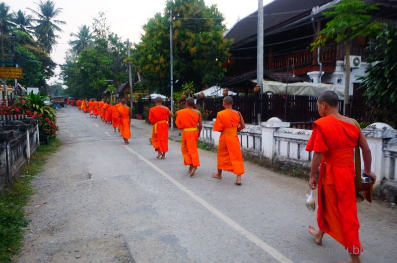 batch_DSC08453