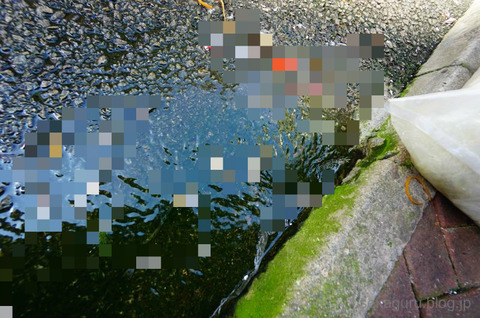 BlogPaint