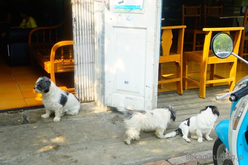 batch_DSC03457