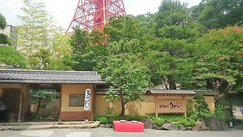 DSC_2985 (3)