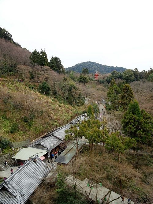 DSC00373(2)