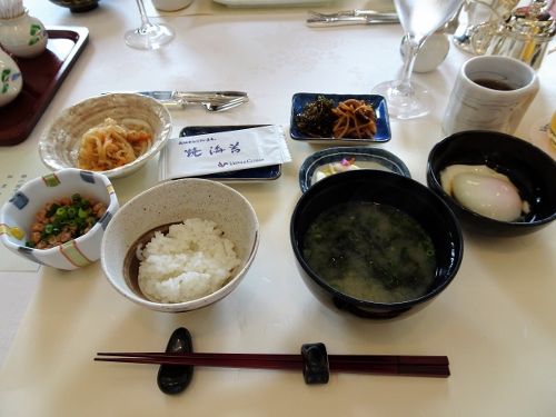 DSC01185 (2) (500x375)