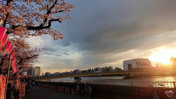 DSC_6852 (2)