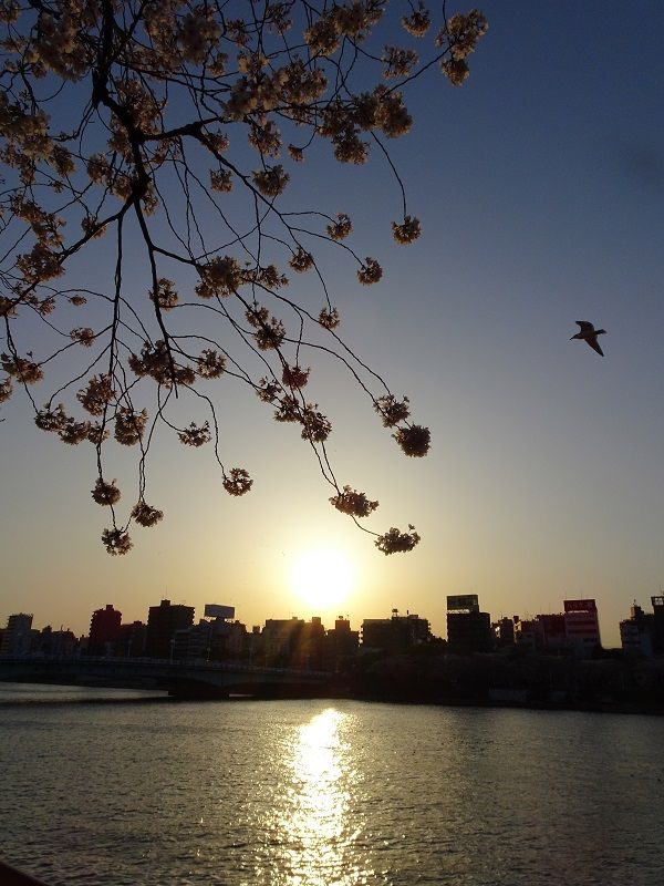 DSC02813 (2)