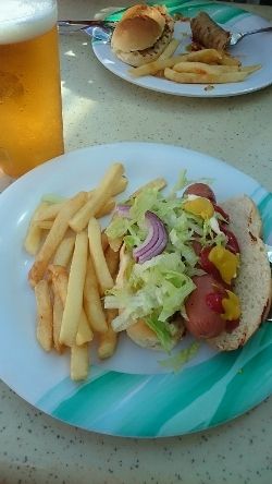DSC_0761 (250x444)