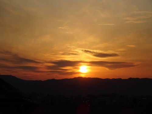 DSC00326 (500x375)