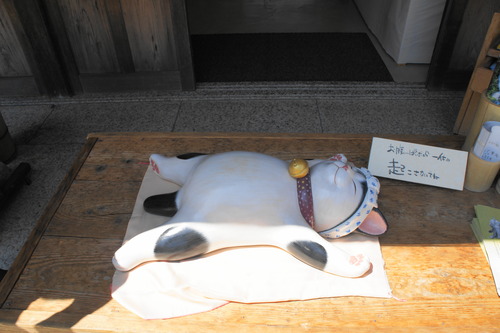 DSC08769
