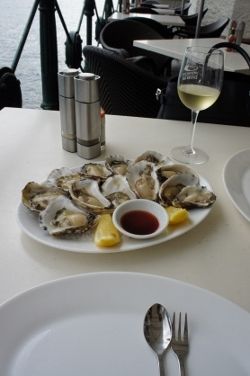 DSC07661 (250x376)