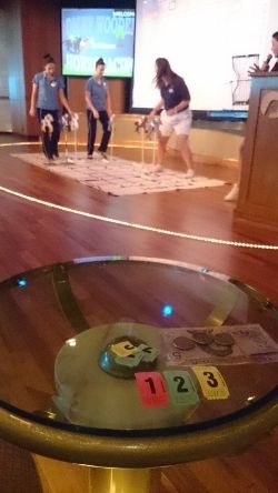 DSC_0683 (250x444)