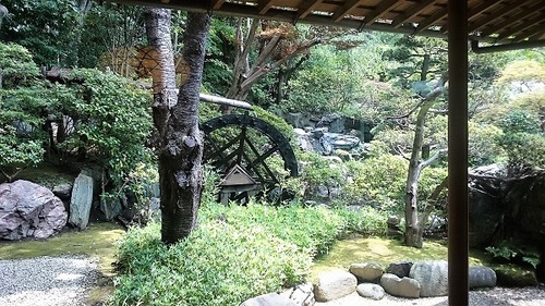 DSC_2991 (3)