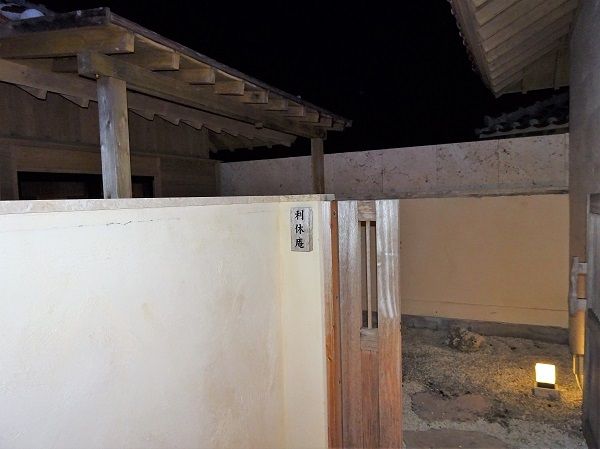 DSC02546 (2)