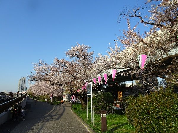 DSC02790 (2)