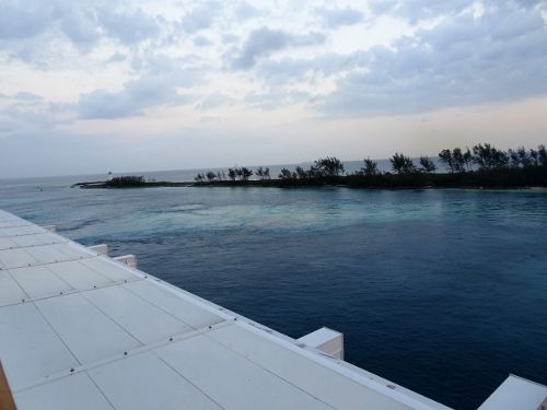DSC00751 (2) (500x375)