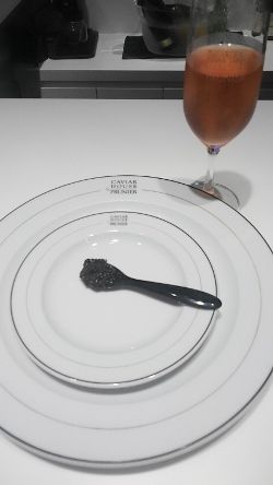DSC_1037 (250x444)
