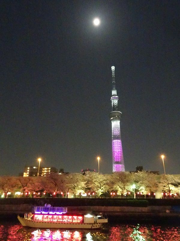 DSC02772 (2)